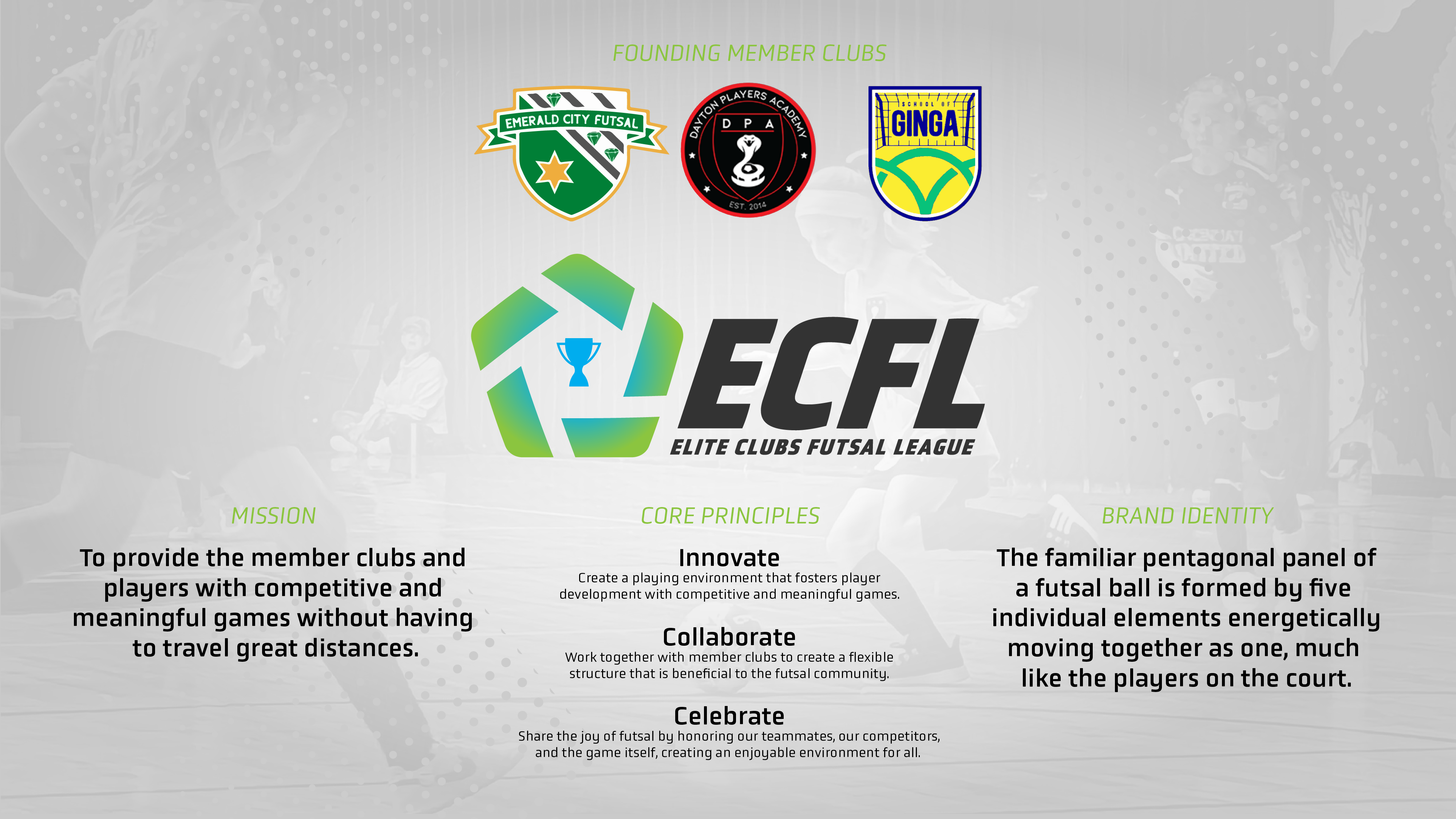 ECFL Website Explainer